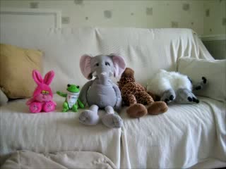Watch Happy Teddy Day - Happy Valentines Day - Stop Animation Video