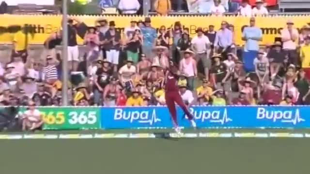 Watch Kieron Pollard takes a fantastic catch in the deep to dismiss Glenn Maxwell (06/02/13) Video
