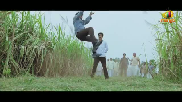 Watch Unbelievable Telugu Movie Hero Stunts - Indian Cinema Stunts - Telugu Cinema Movies Video