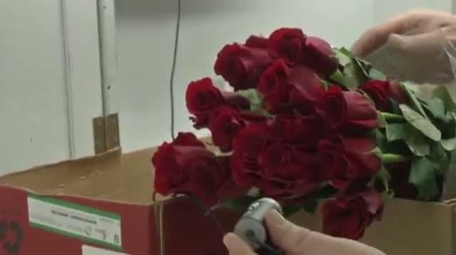 Watch More Flowers Expected This Valentine's Day Video
