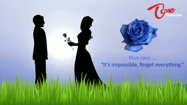 Watch Valentine's Day Special - The Colour of Your Rose Says it all Video