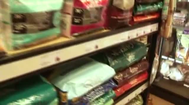 Watch Chicken or Duck: Raw Food the Rage As Pet Food Video