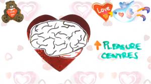 Watch The Science of Love Video