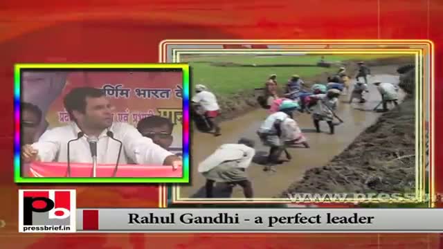 Watch Rahul Gandhi: A true ambassador of Congress-led UPA Govt. Video