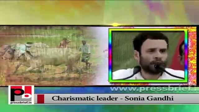 Watch Rahul Gandhi has a special concern for the farmers' welfare Video