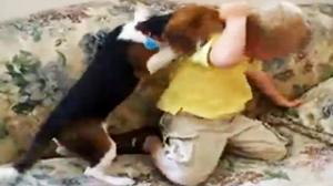 Watch Dog Won't Stop Licking Kid Video