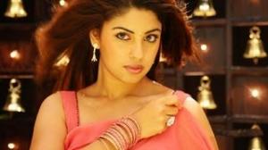Watch Richa Gangopadhyay Latest Collections Video