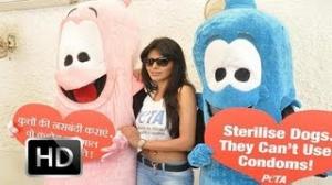 Watch Sherlyn Chopra's Tips On Animal $ex Video
