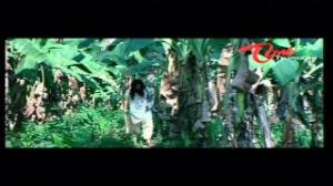 Watch Hara Hara Sambho Sankara Movie Songs - Gaali Neeru Nippu Song - Narasimharaju, Anuradha - Telugu Cinema Movies Video