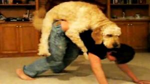 Watch Dog Humps Boy on Christmas Morning Video