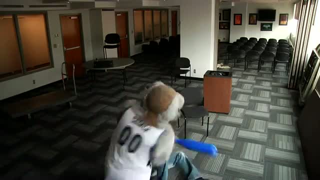 Watch TIMBERWOLVES HARLEM SHAKE Video