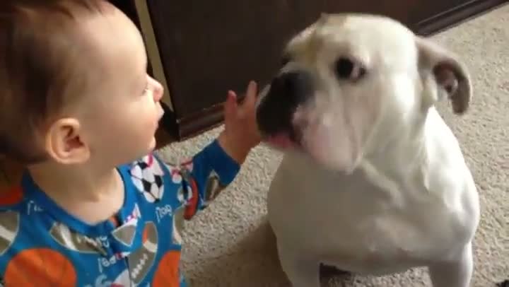 Watch Young Kid Just Wants To Share His Food Video