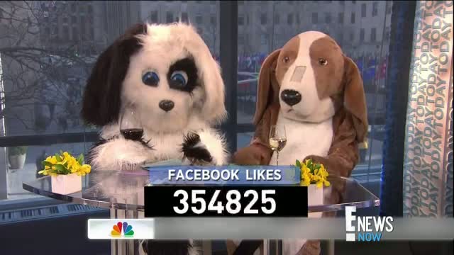 Watch Hoda and Kathie Lee Dress Like Dogs Video