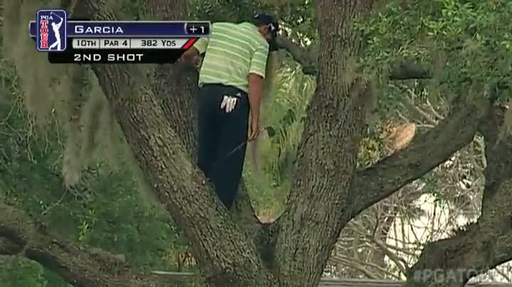 Watch Amazing Golf Save From A Tree Video