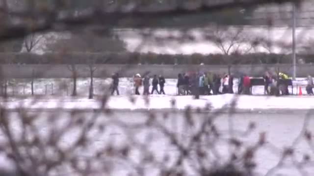 Watch Spring Snow Covers DC Cherry Trees Video