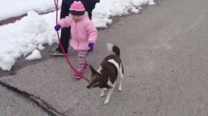 Watch Little Girl Laughs Like a Supervillain Video