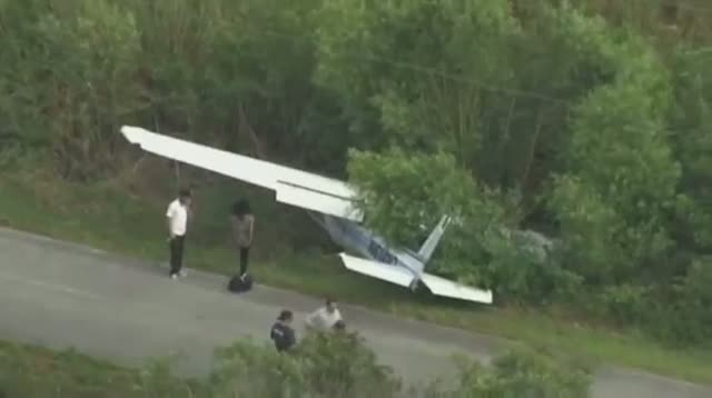 Watch Small Plane Crashes Onto Fla. Road Video
