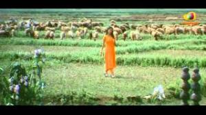 Watch Naa Route Veru Movie Songs - Yevarive Sarigama Song - Namitha, Sathyaraj, Siva Balaji, Madhumitha - Telugu Cinema Movies Video