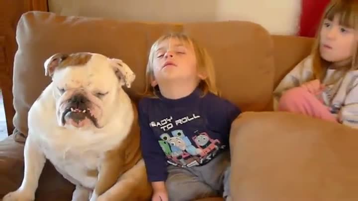 Watch Baby Falls Asleep With Dog On Couch Video