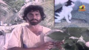 Watch Chattaniki Kallu Levu Movie Songs - Chattaniki Kallu Levu Song - Chiranjeevi, Madhavi, Lakshmi - Telugu Cinema Movies Video