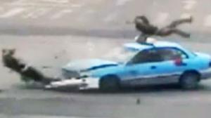 Watch Even This Perfect Faceplant Doesn't Impress Chinese Policemen Video