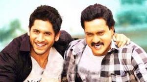 Watch Thadaka Movie Songs - Nuvvu Nenu Song - Naga Chaitanya, Sunil, Tamanna - Telugu Cinema Movies Video