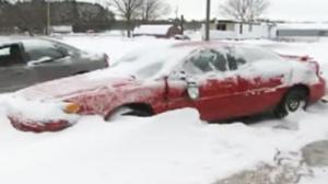 Watch Woman Goes Ballistic Over Towing Bill Video