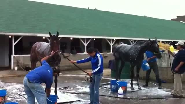 Watch Kentucky Derby 2013 field: Frac Daddy Video