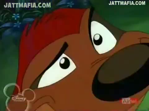 Watch TIMON & PUMBAA THEME SONG HD Video