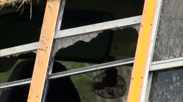 Watch School Bus Crash Injures Five Children Video