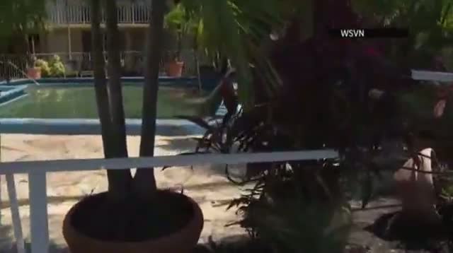 Watch Crash Sends Car Into Fla. Pool Video