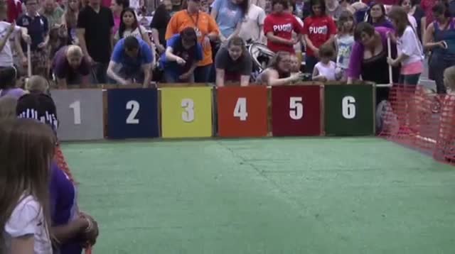 Watch Pug Life on Display at Wisconsin Festival Video