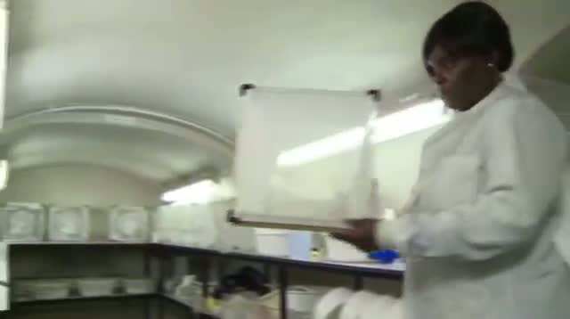 Watch Stinky Feet Help Scientists Swat Mosquitoes Video