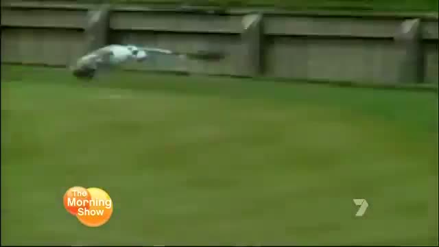 Watch Biggest Sport Bloopers - Funny Sport Video
