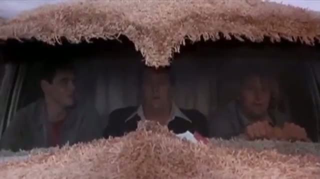 Watch Jeff Daniels Ready for 'Dumb and Dumber' Sequel Video
