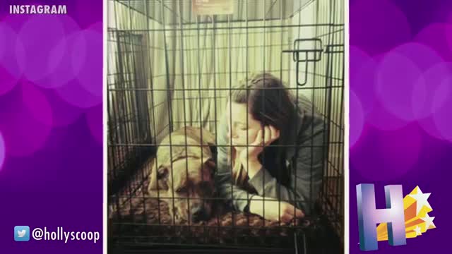 Watch Jessica Biel Under The Microscope For Animal Cruelty Video