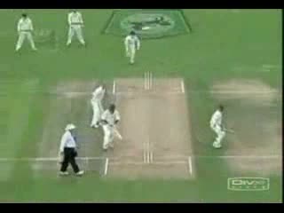 Watch Funny Cricket Moments Video