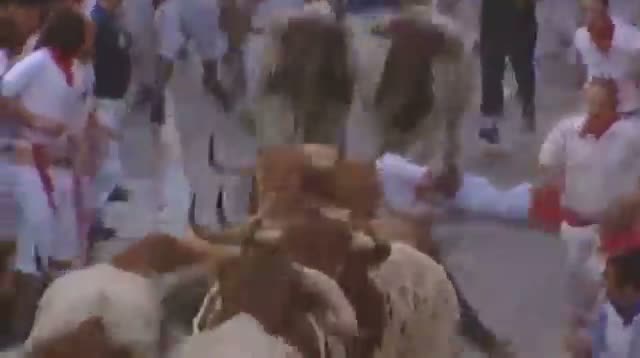 Watch Running With the Bulls in Spain Video