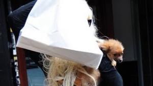 Watch Amanda Bynes Hits Dog on Face Exiting Taxi!? Video