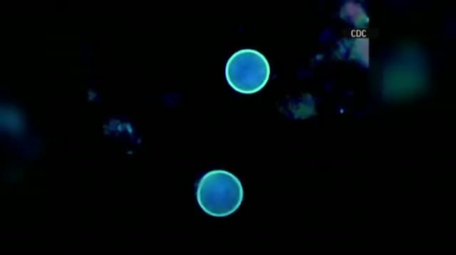 Watch CDC: 275 Reported Cases of Stomach Bug Video