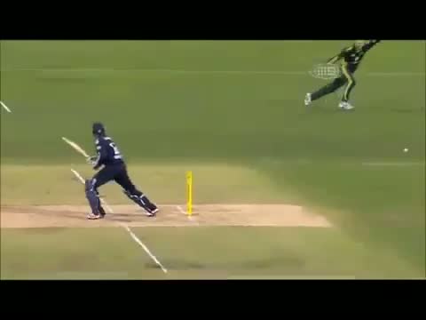Watch Funny Cricket Moment Runner confuses fielding team Video