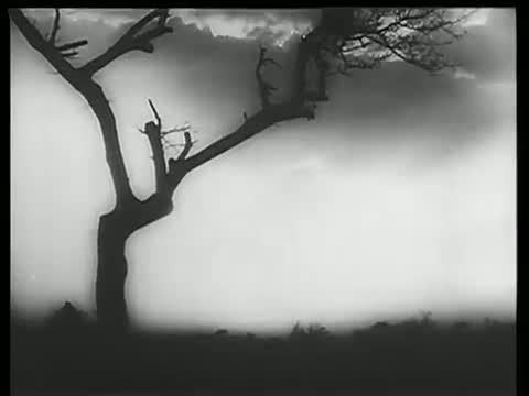 Watch Suraj Jara Aa Pass Aa - Best Hindi Classic Song - Shammi Kapoor, Raaj Kumar, Mala Sinha - Ujala (1959) Video
