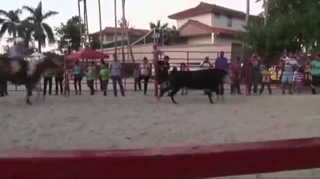 Watch Roping in New Rodeo Fans, Venezuelan-Style Video
