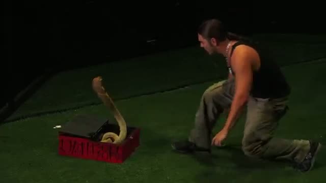 Watch David the Cobra Kid - Attempts to Kiss a 15 - Foot Cobra Snake! -- America's Got Talent 2013 Video