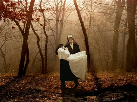 Watch Hungarian suicide song-Gloomy Sunday (Sarah McLachlan) Video