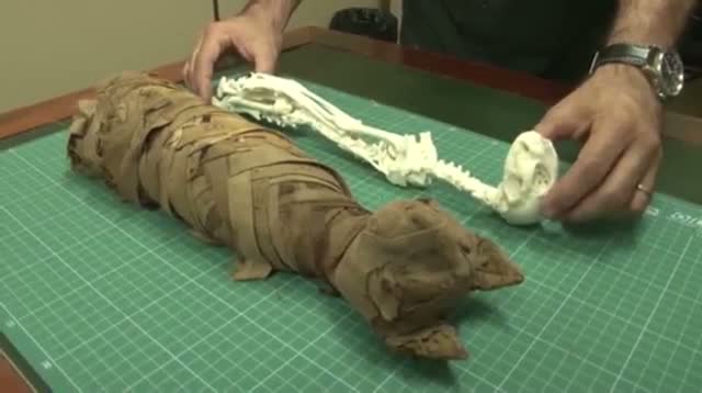 Watch 3D Printers Give Mummies New Life Video