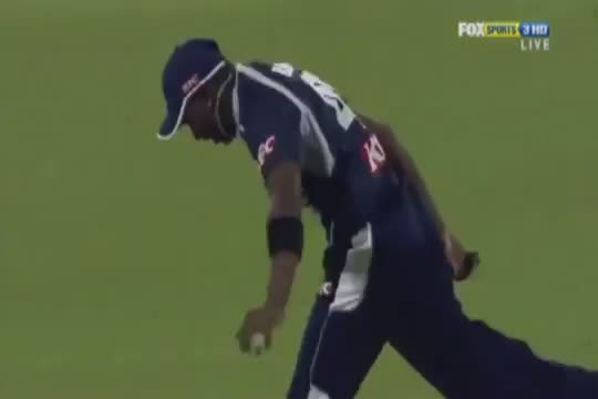 Watch Top Cricket Catches HD Video