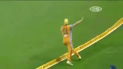 Watch Amazing Cricket Catch by Adam Voges Video