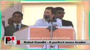 Watch For Rahul Gandhi, Mahatma Gandhi Ji is the model Video