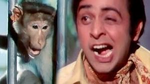 Watch Vinod Mehra & Monkey - Funniest Comedy Scene - Do Phool (1973) Video